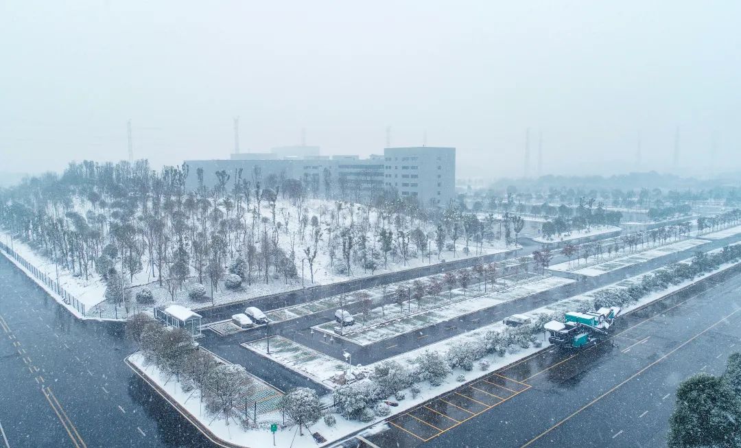 瑞雪兆豐年，邀您共賞雪中山河！